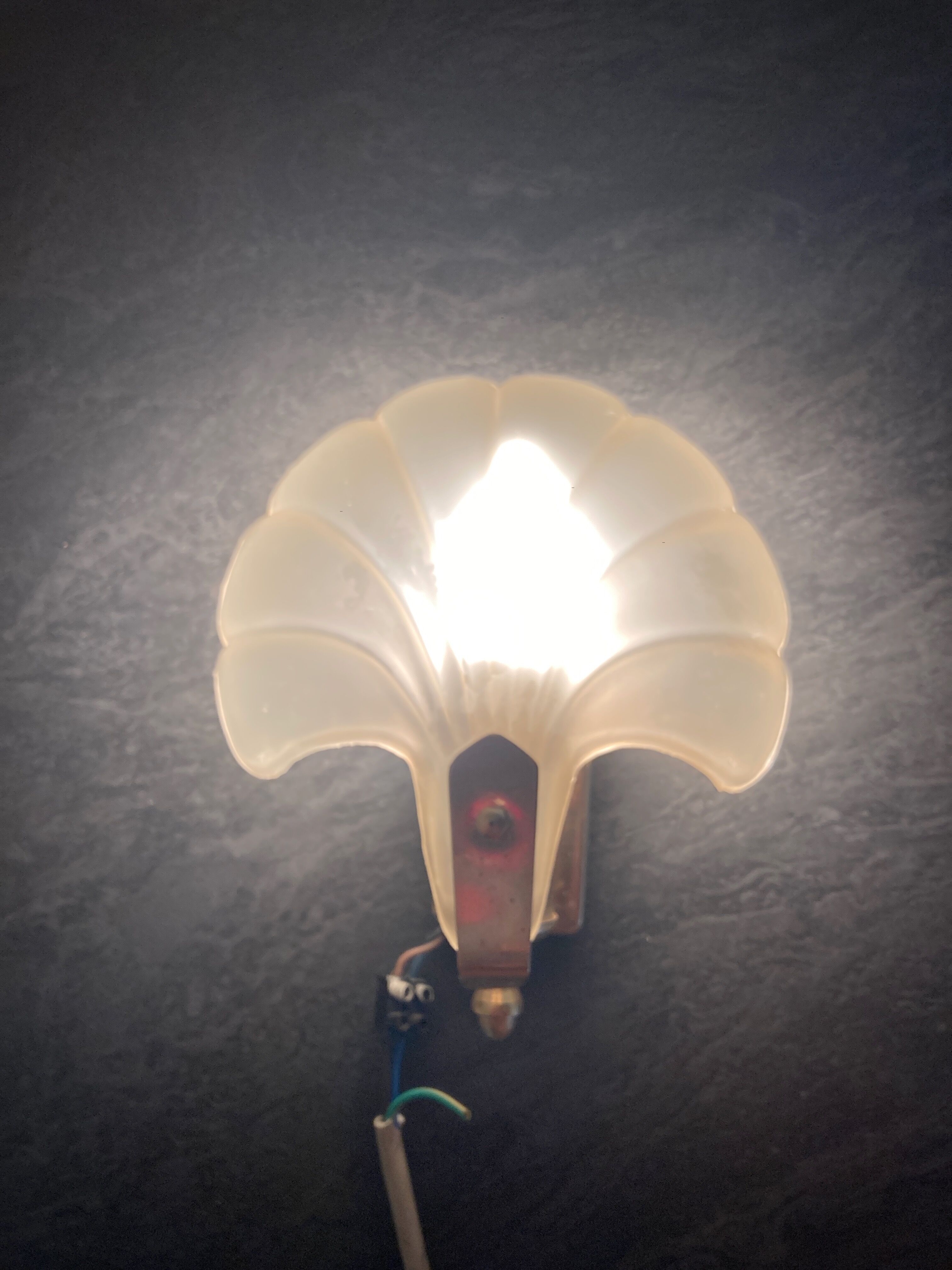 Frosted glass shell wall lamps