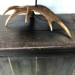 Elk horn foot lamp and silk day offal