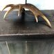 Elk horn foot lamp and silk day offal