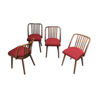 Set of 4 Antonin Suman chairs
