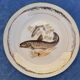 Vintage Fish Plates in Limoges Porcelain – Limoges Enamels
