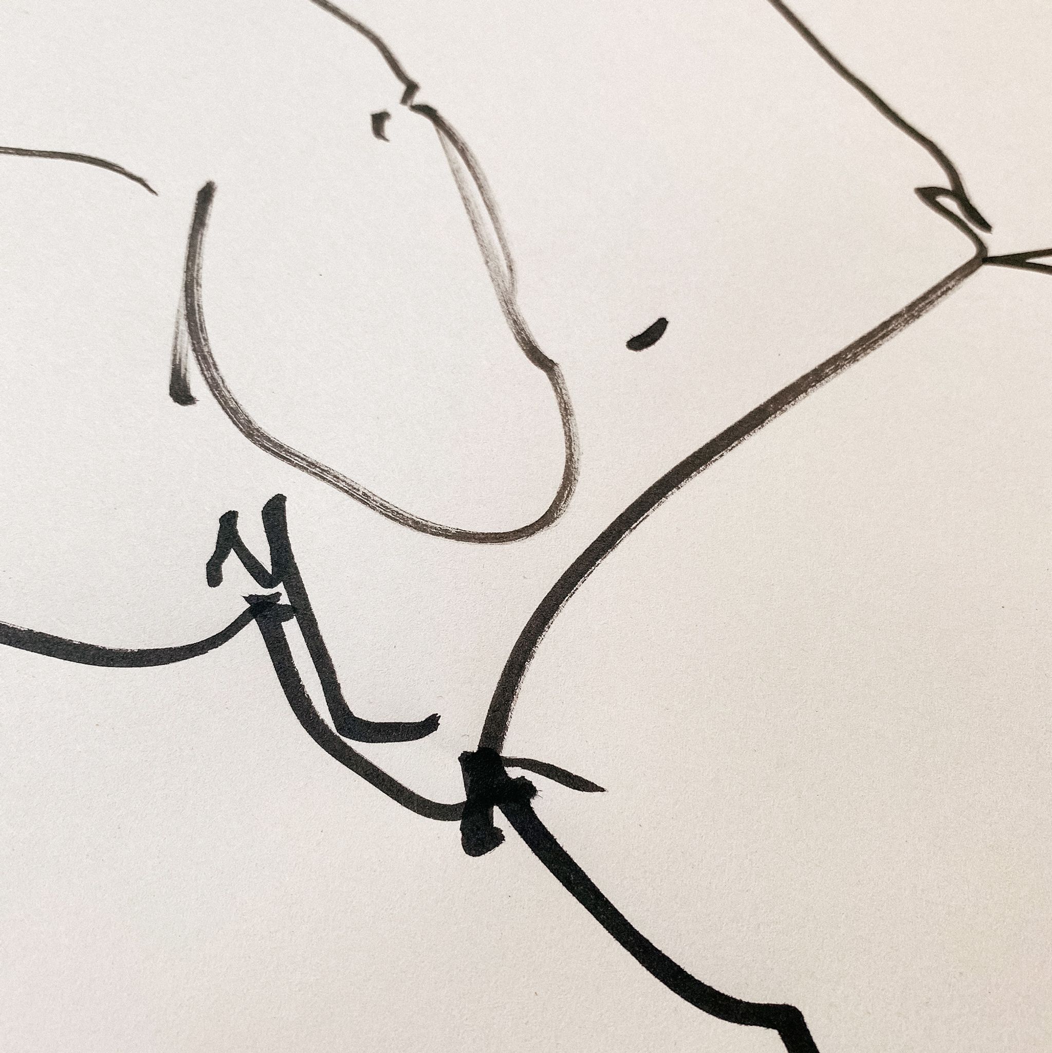 Set of 2 - ink drawing on vintage paper
