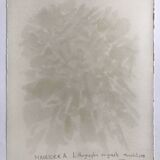 Alfred MANESSIER The Labyrinth II, 1978. Original lithograph