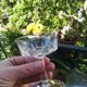 6 champagne glasses on set