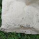 Old mail bag ''la poste france'' '