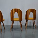 1960s Antonin Suman set of four dining chairs in walnut finish, Czechoslovakia