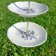 Berry cake stand