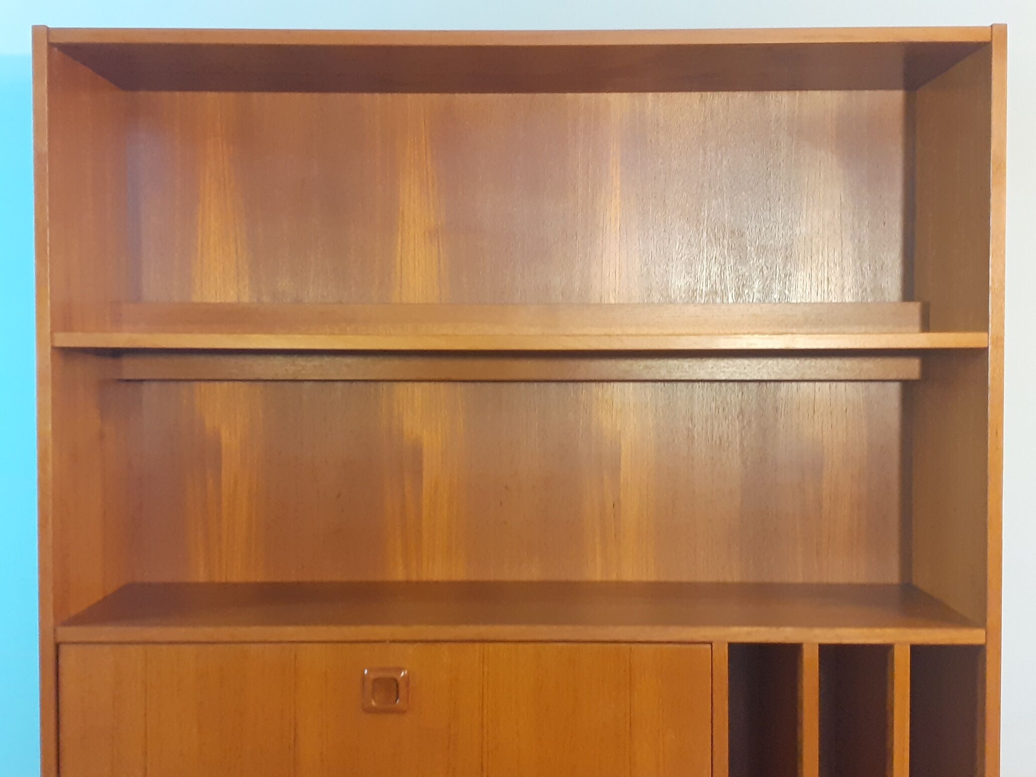 Danish Library in Teck, Scandinavian Vintage 1960s