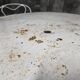 Antique painted wrought iron garden furniture, round table and four chairs.