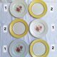 Vintage yellow and pink dinner plates