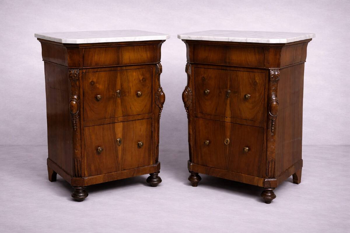 Rare pair of Italian display furniture from the Charles X period in mahogany.