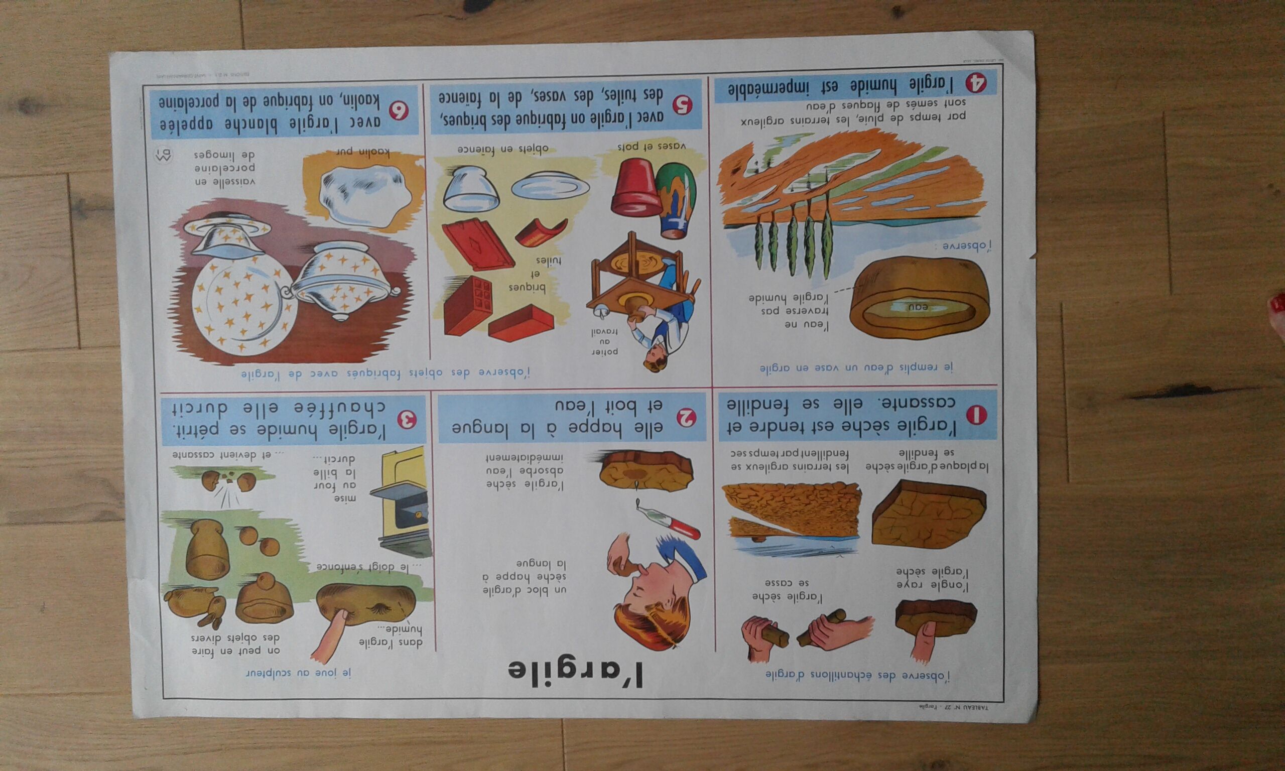 School poster rabbit and clay