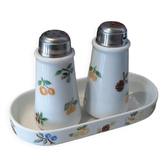 Porcelain salt and pepper shaker service