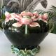 Pot-cover in dabbling