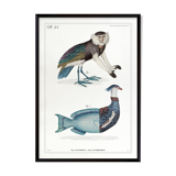 2 Chimeras lithography animal engraving