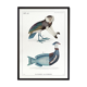 2 Chimeras lithography animal engraving