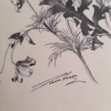 Planche florale