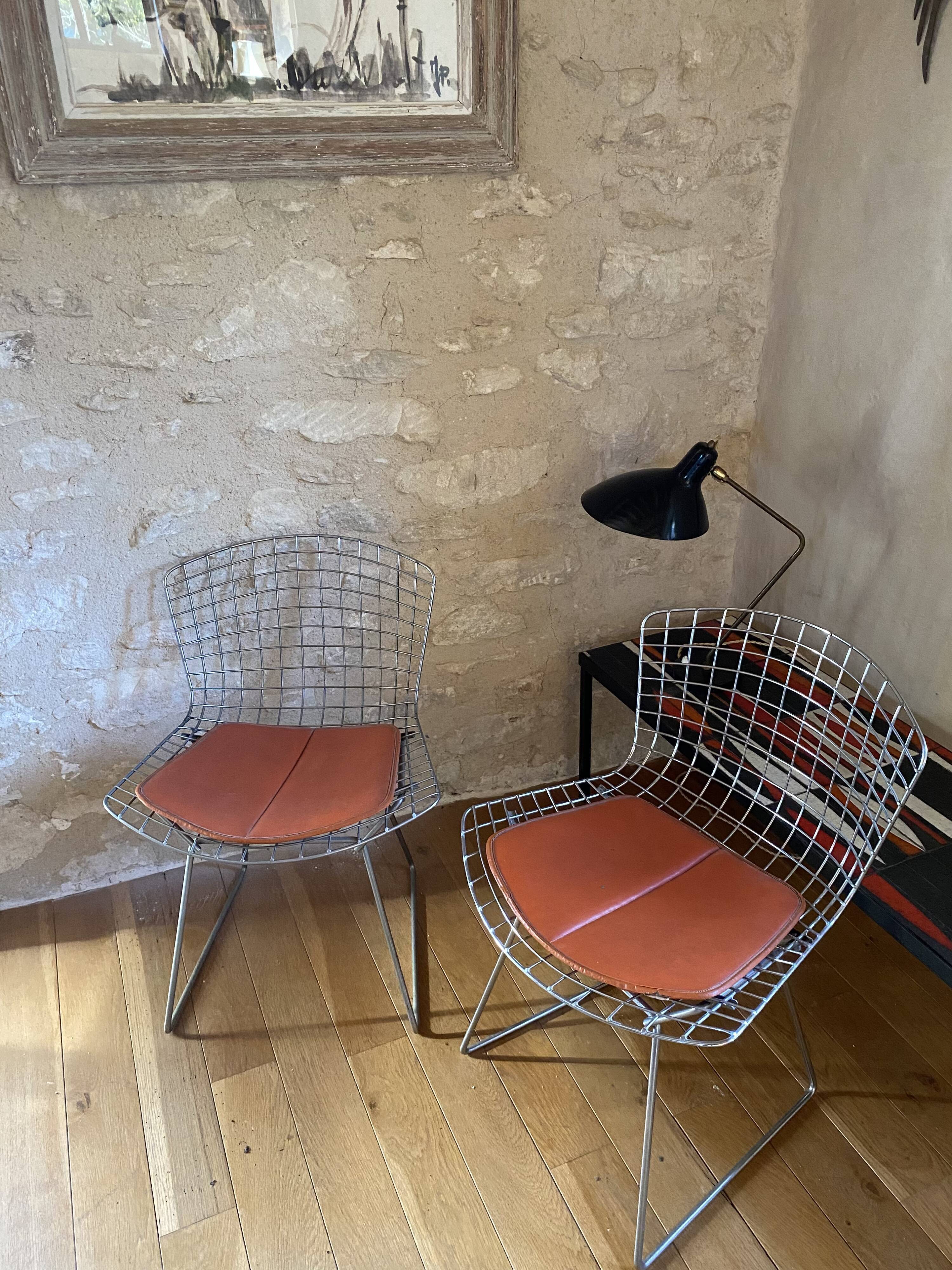 Chairs by Harry Bertoia 1960