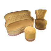 Golden Toad Salon