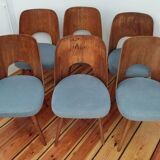 Mid-Century Set of dining 6 chairs Tatra O.Haerdtl, 60s Czechoslovakia