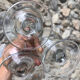 Verres • Ricard, vintage (trait dose)