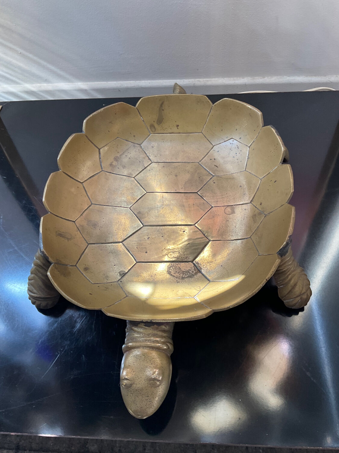 Vintage turtle pocket in solid bronze