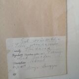 Old herbarium board framed