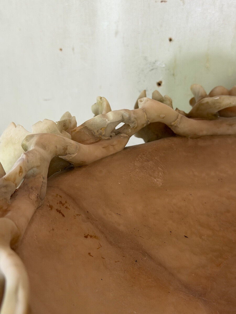 Large alabaster bowl Italy around 1900