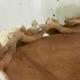 Large alabaster bowl Italy around 1900