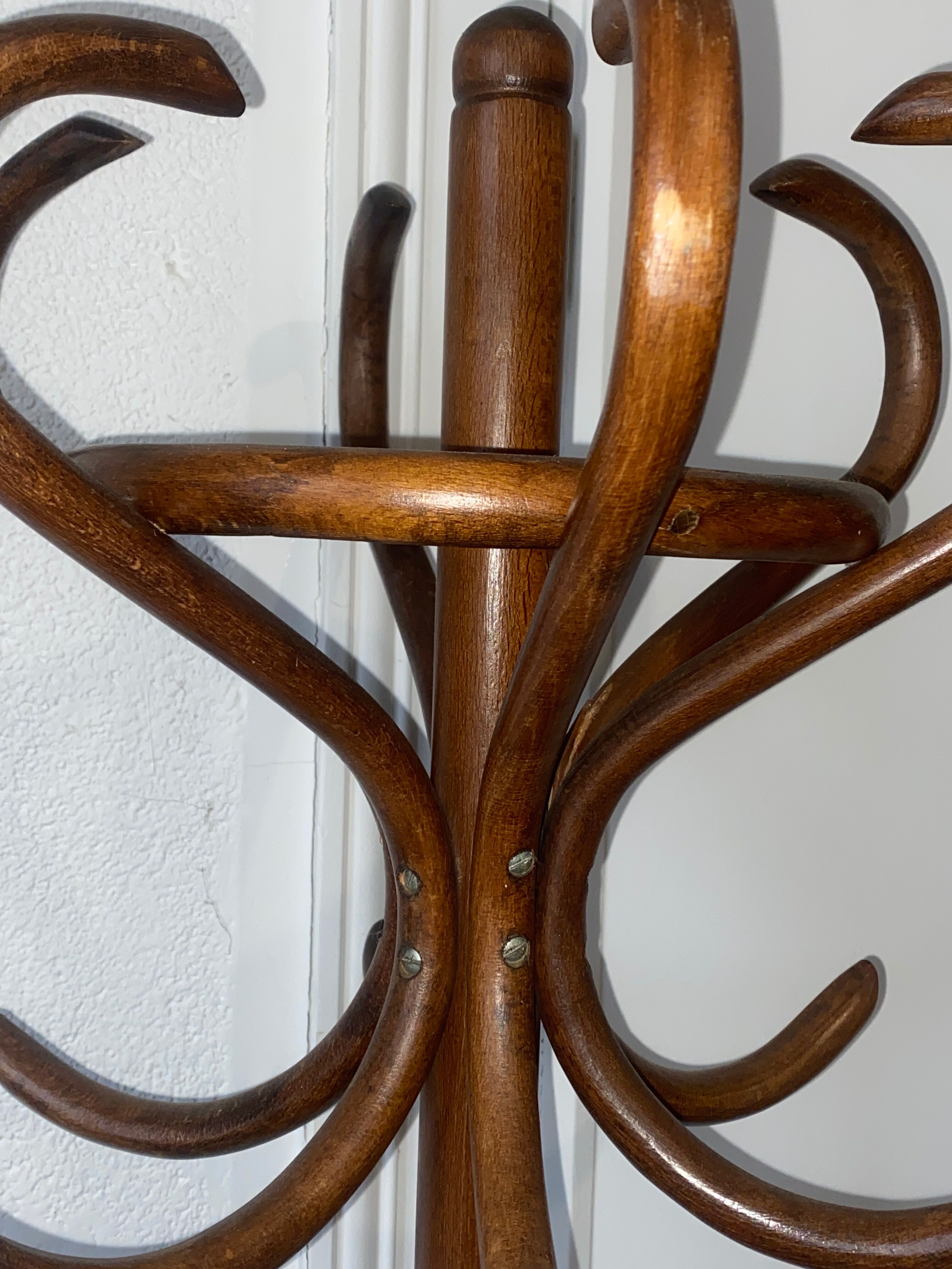 Coat rack parrot wood curved