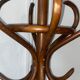 Coat rack parrot wood curved