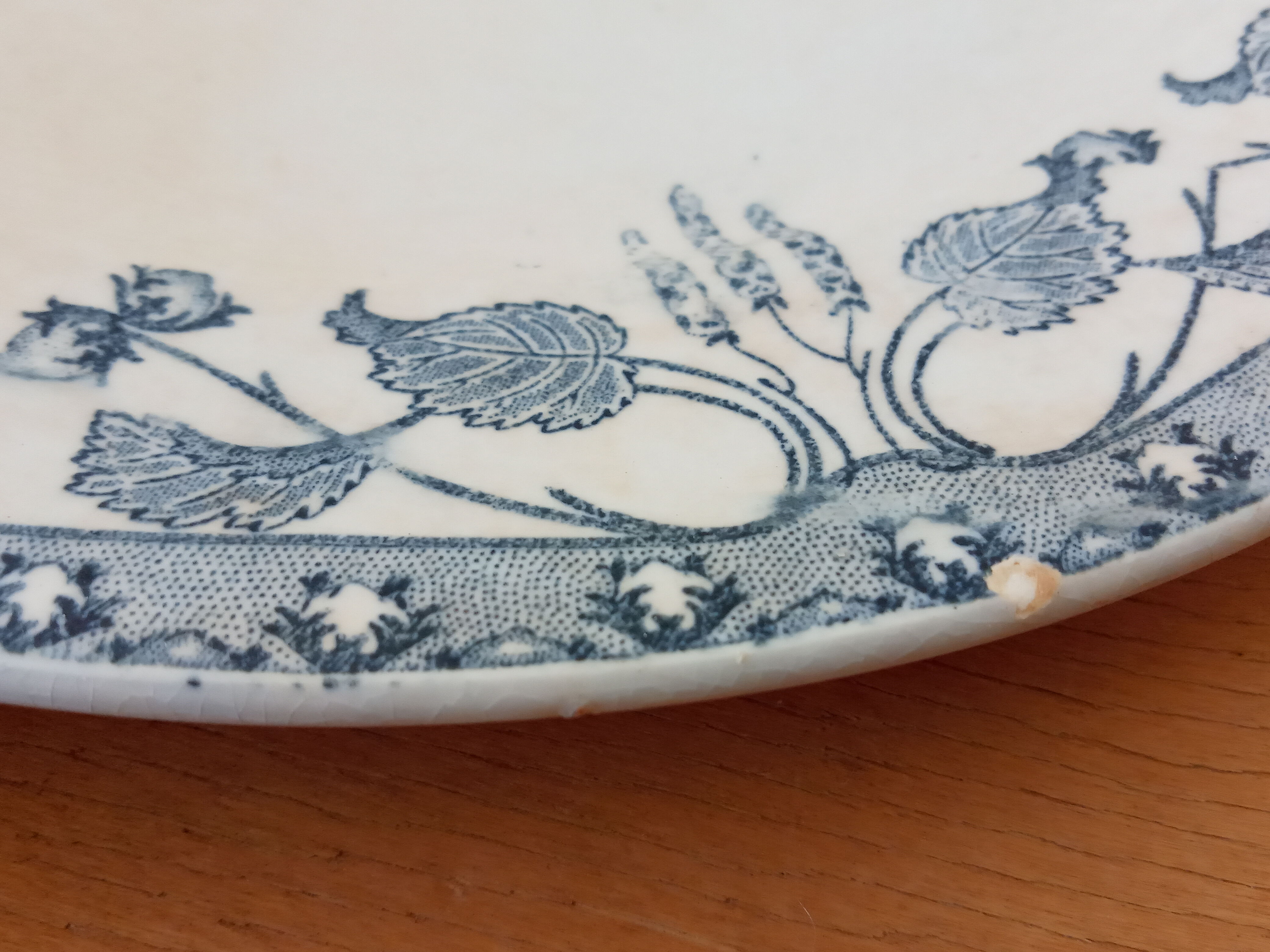 Five old plates of Sarreguemines