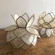Lotus flowers in mother-of-pearl sconces