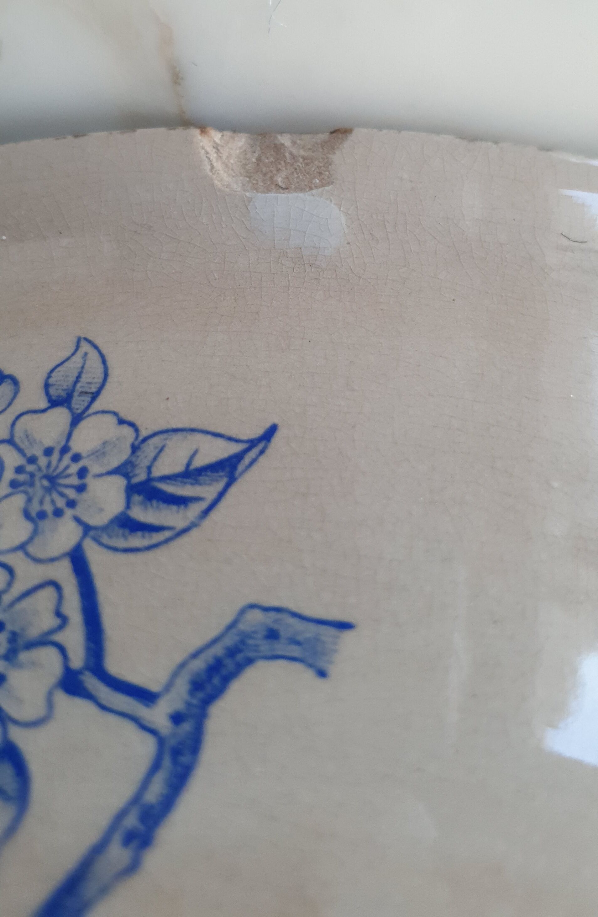 Iron Earth Salad Bowl