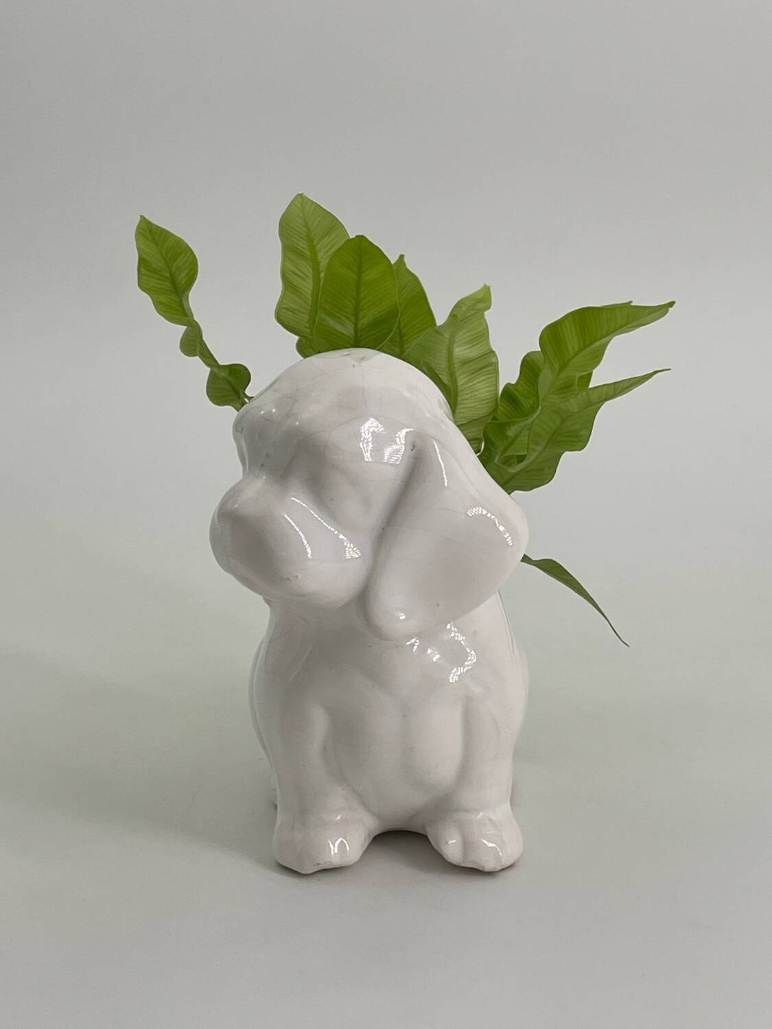 Cache pot chien en porcelaine blanc vintage