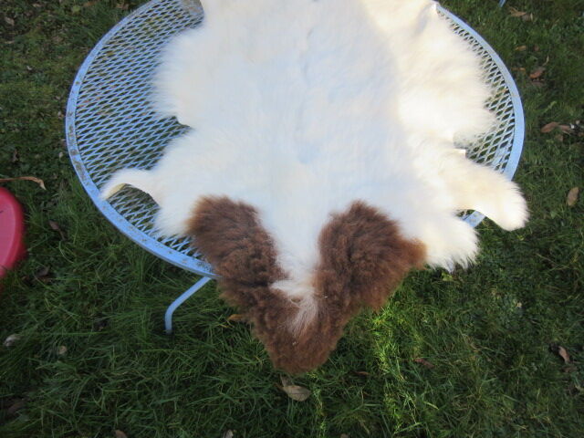 Sheepskin