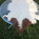 Sheepskin
