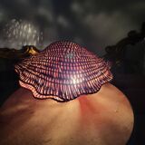 Woven wicker shell lamp