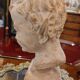 Bust - Bacchus - Terracotta - André Cavacos - c. 1930.