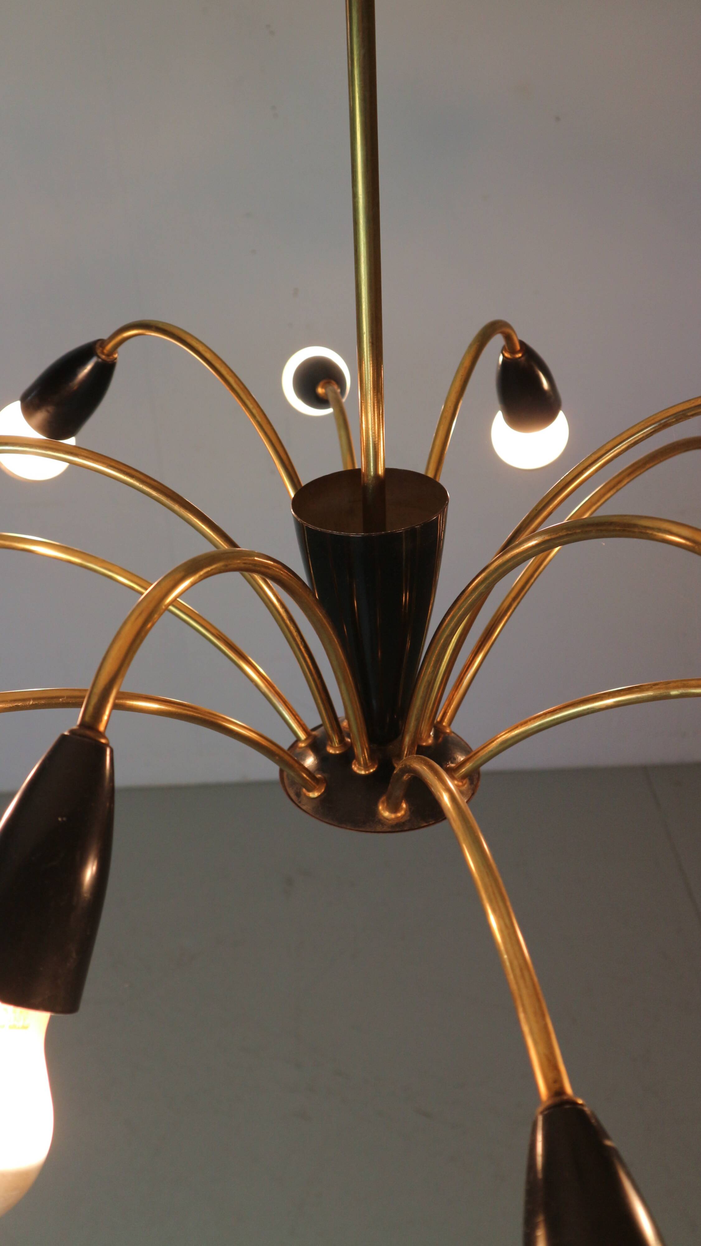 Italian Black and brass 12 arm Spider Chandelier  1950s
