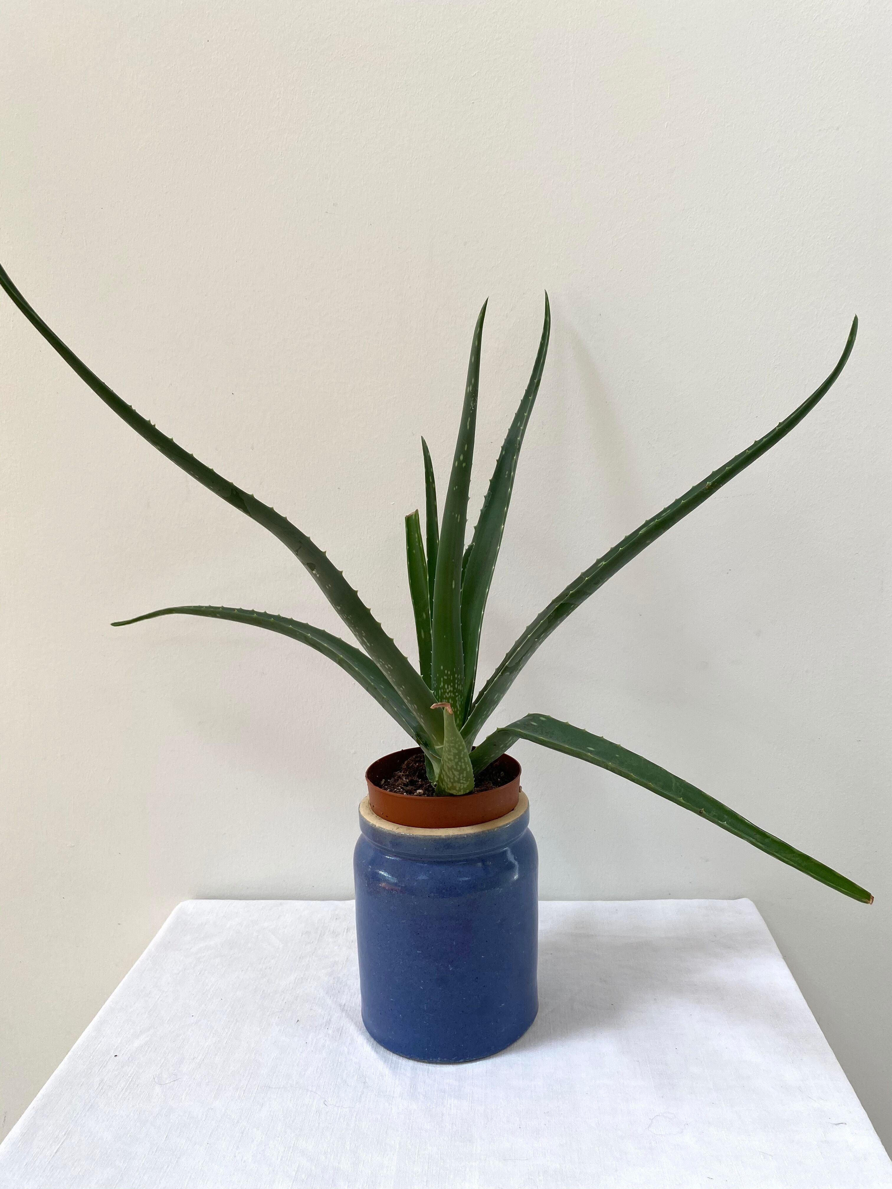 Blue pot in glazed stoneware - Bourdon Frères Paris