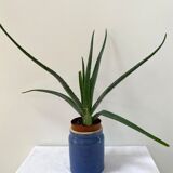 Blue pot in glazed stoneware - Bourdon Frères Paris