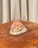 Great shell (Cypraecassis rufa)