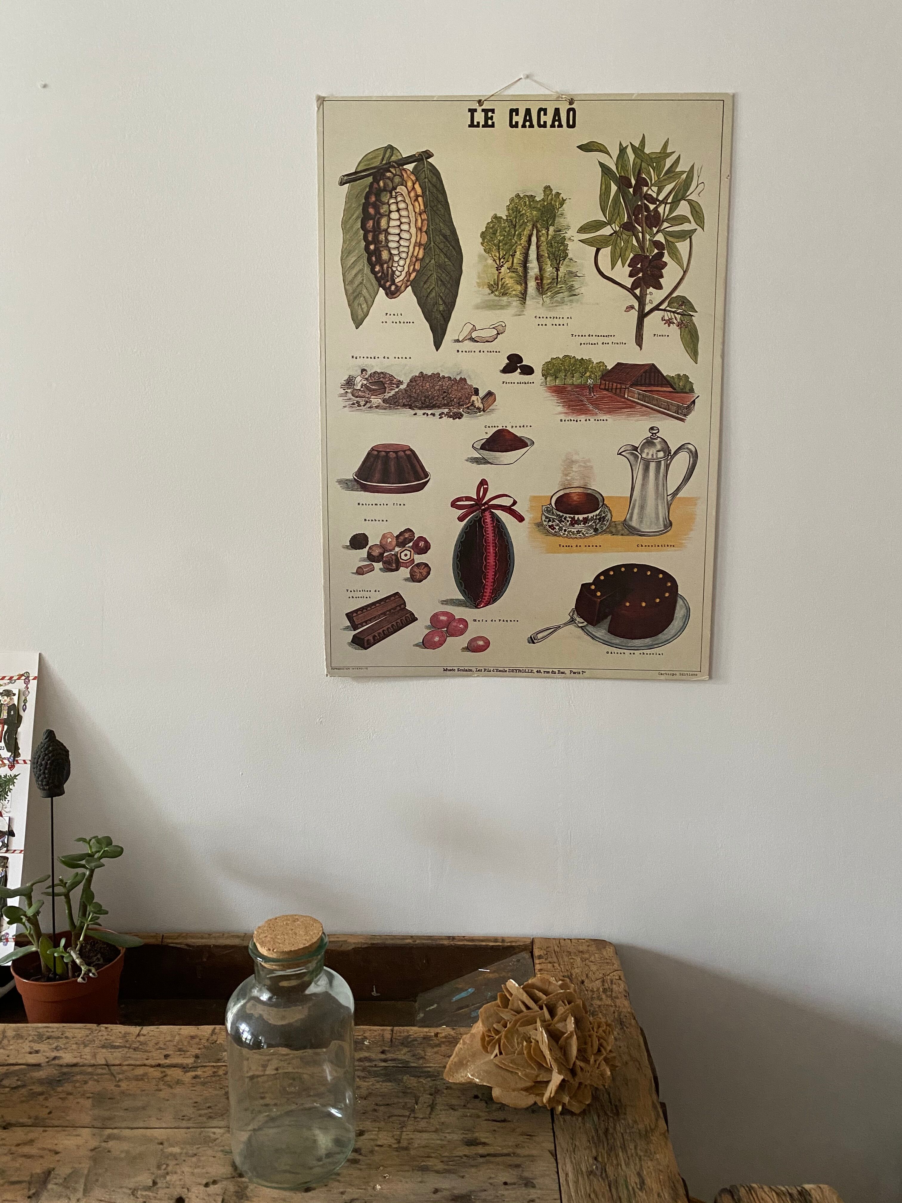 Cardboard poster Cacao