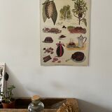 Cardboard poster Cacao