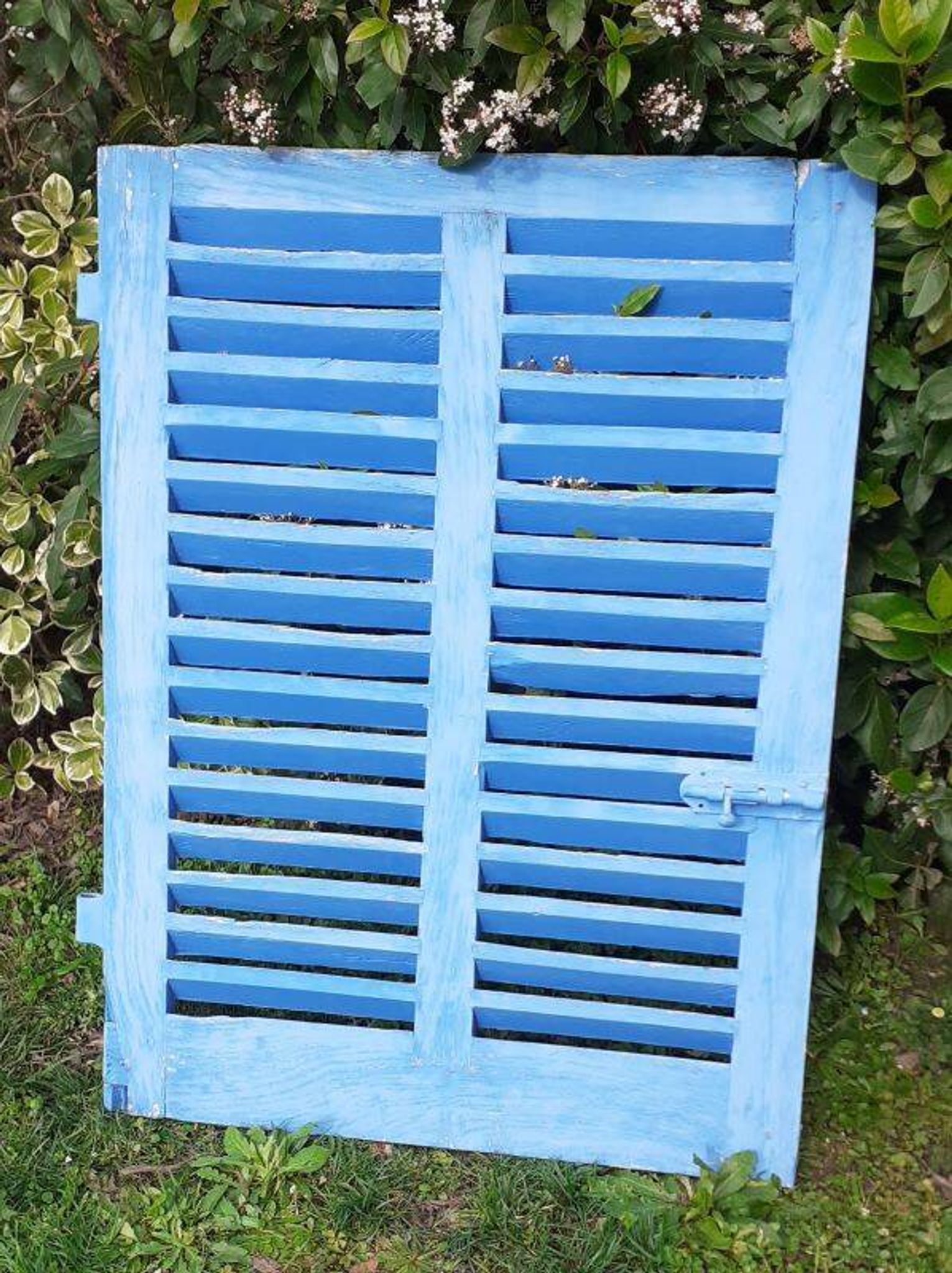 Petit volet  L75xH101cm bleu à persiennes