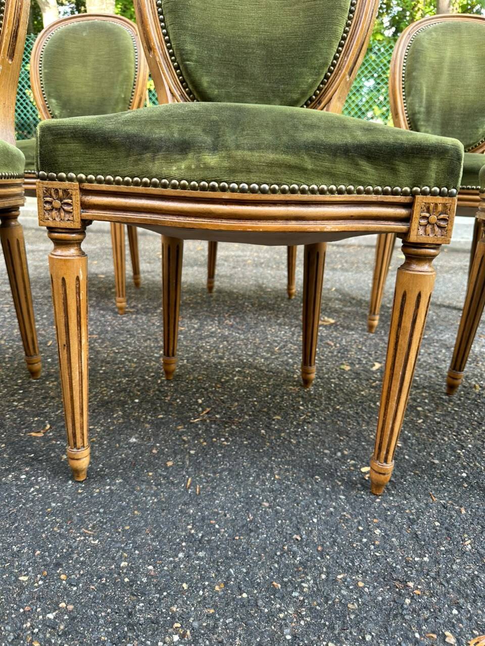 Set of 6 Louis XVI medallion chairs in green velvet, 1950.