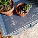 Parisian buffet in blue wood