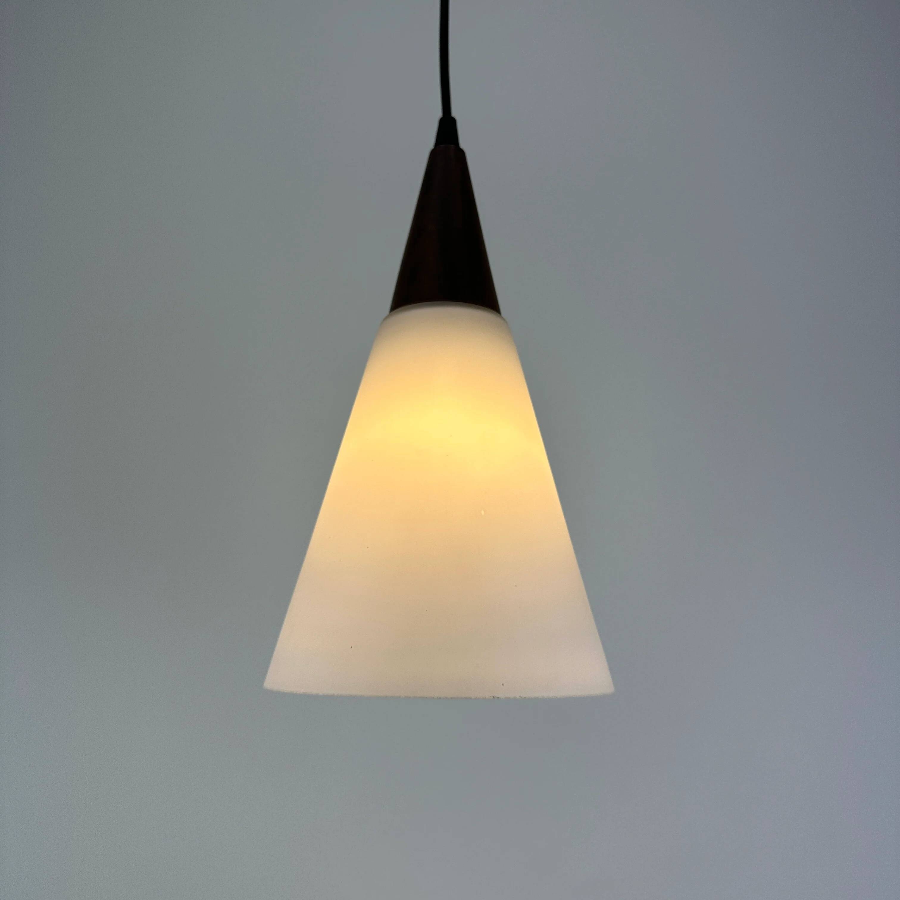 Suspended light fixture in frosted glass and wood by Philips 1950