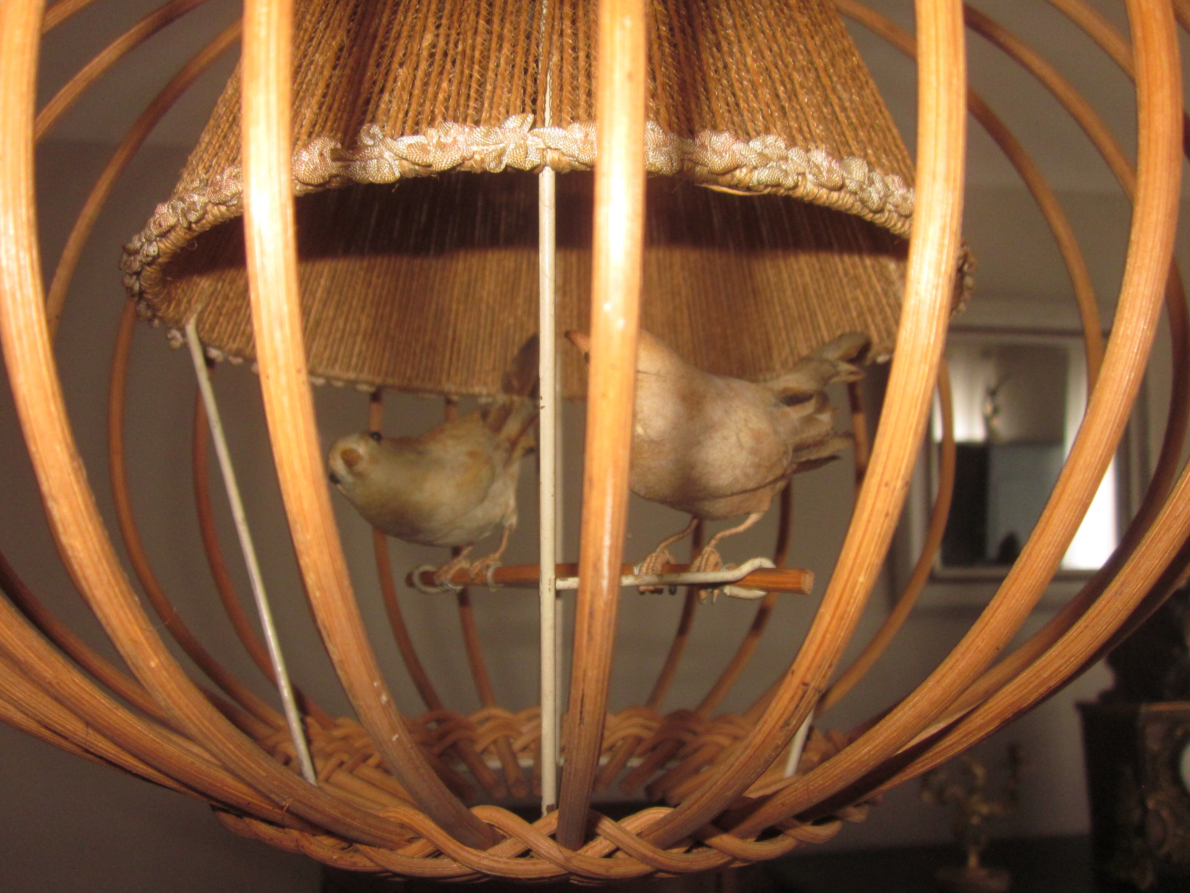 Suspension cage avec oiseaux